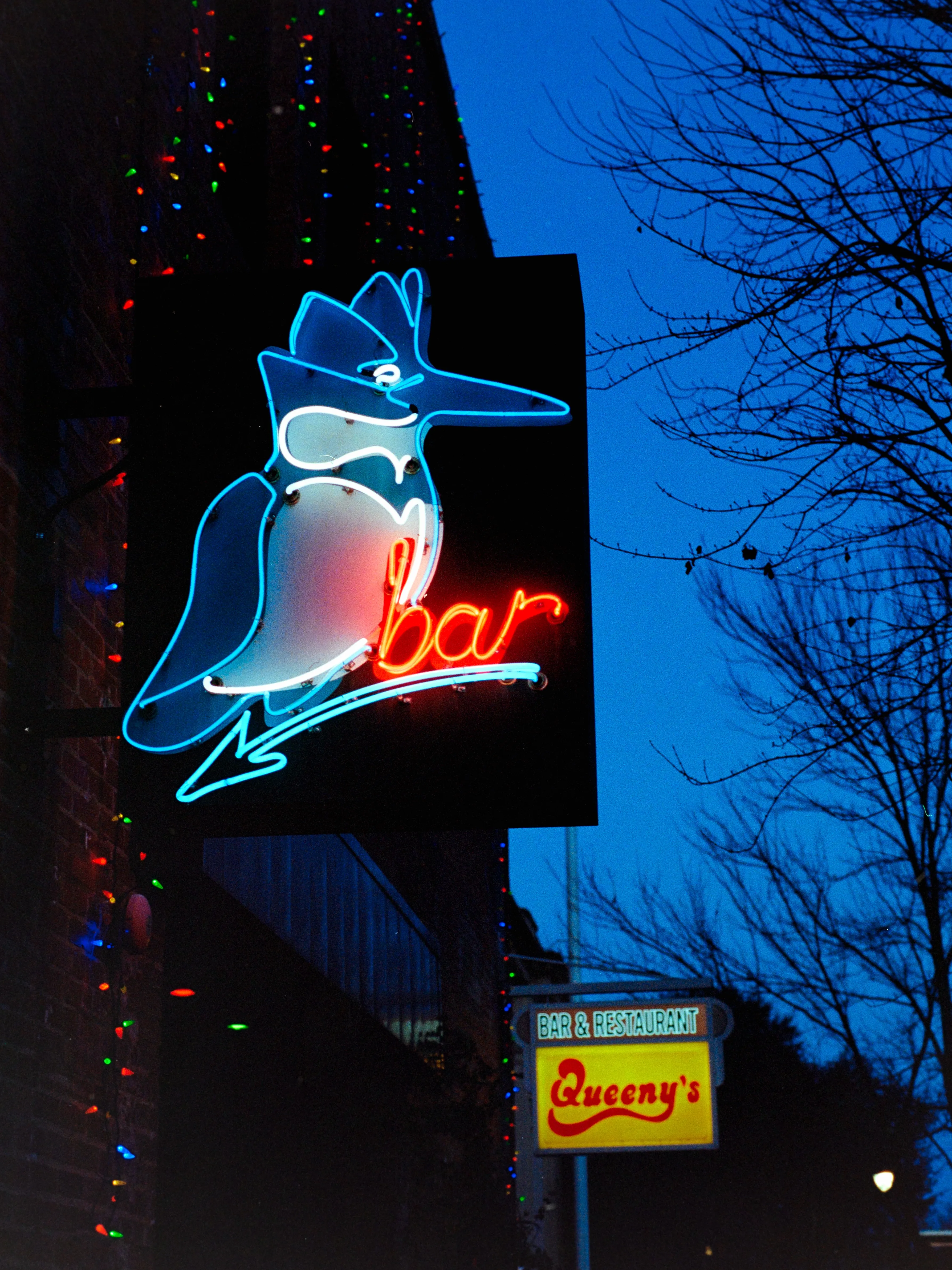 Kingfisher 'bar' neon at dusk, Durham NC
