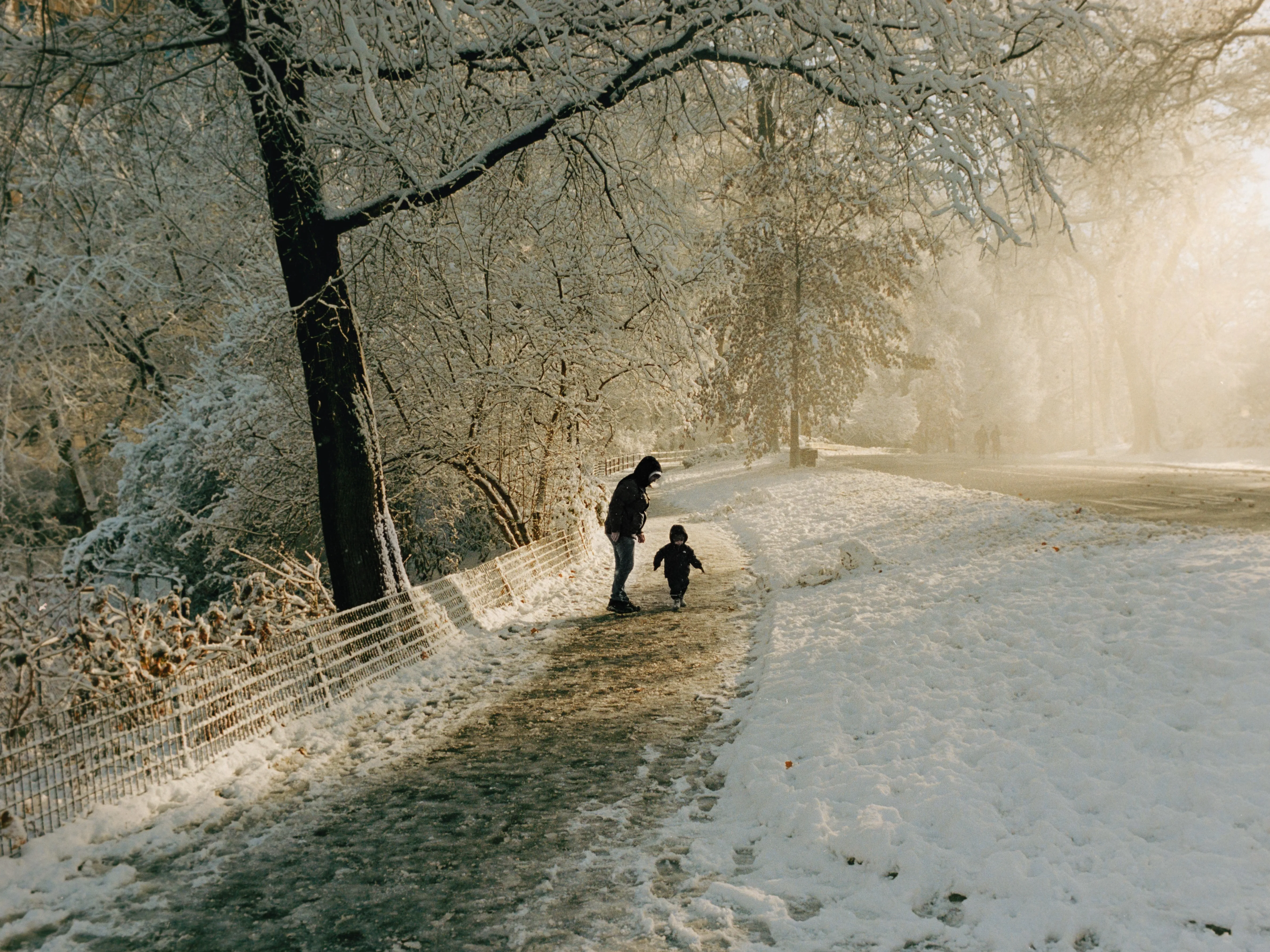 Two figures walking a snowy park path under bare trees, golden light